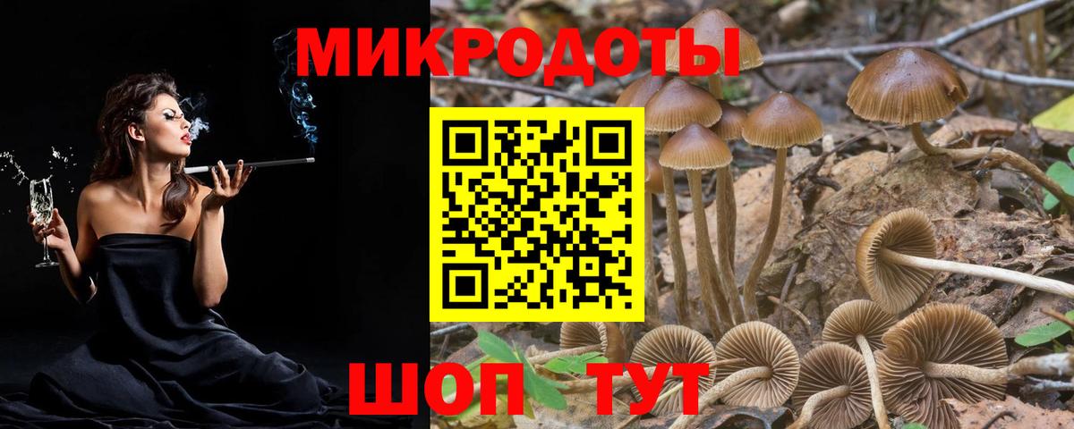 Знаменск  Галлюциногенные грибы Psilocybine cubensis  Вход с VPN 